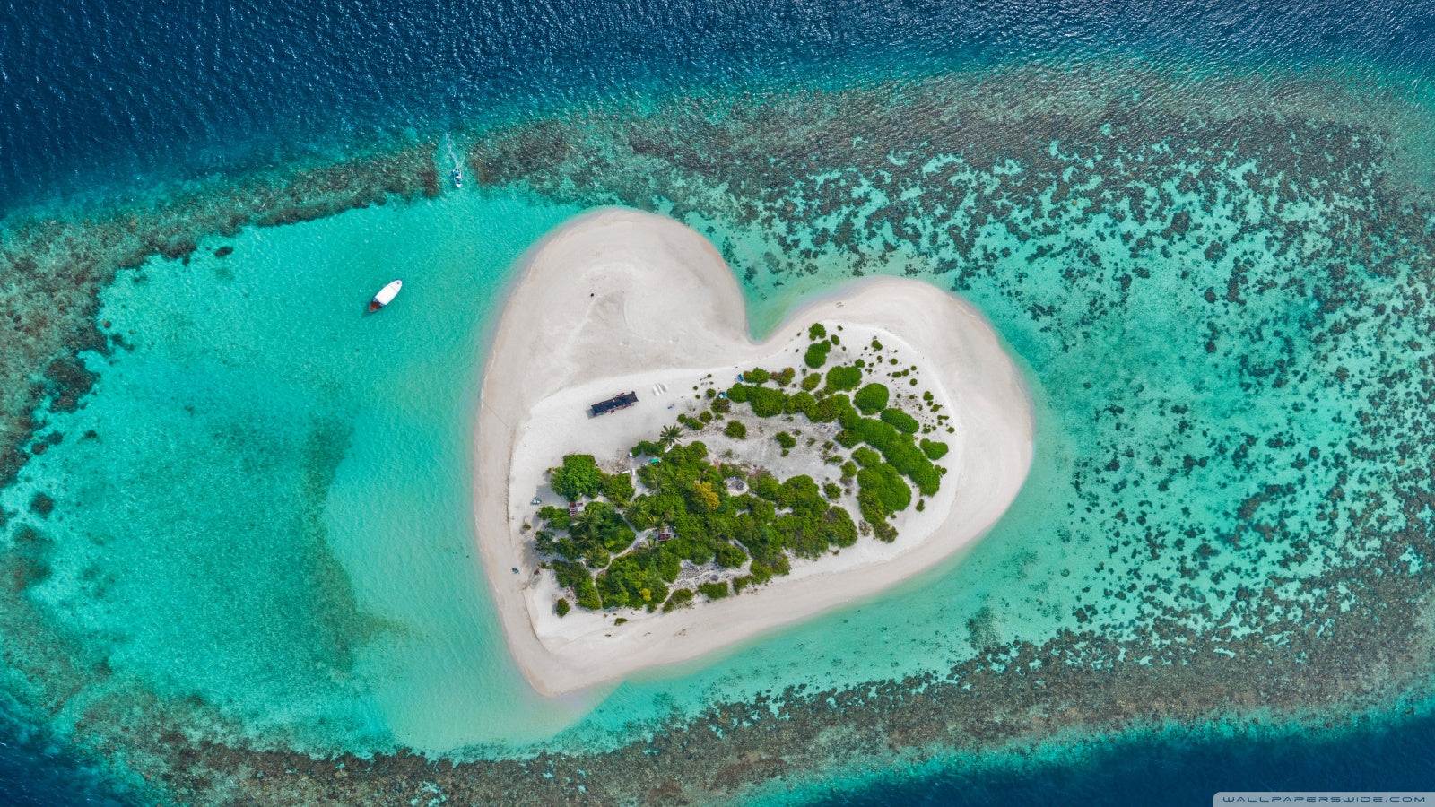Media Image