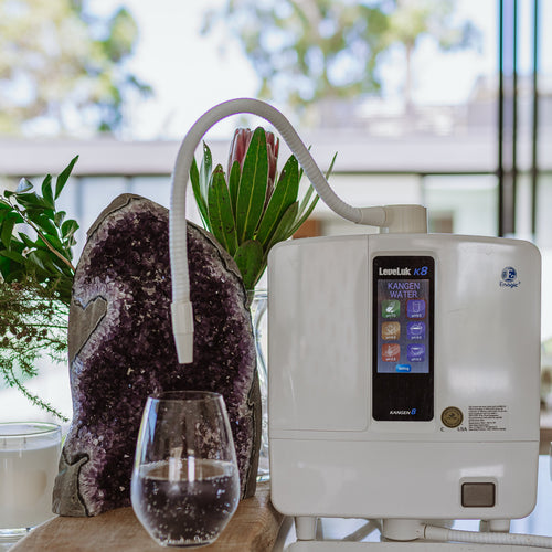 Enagic Kangen Water Ionizer